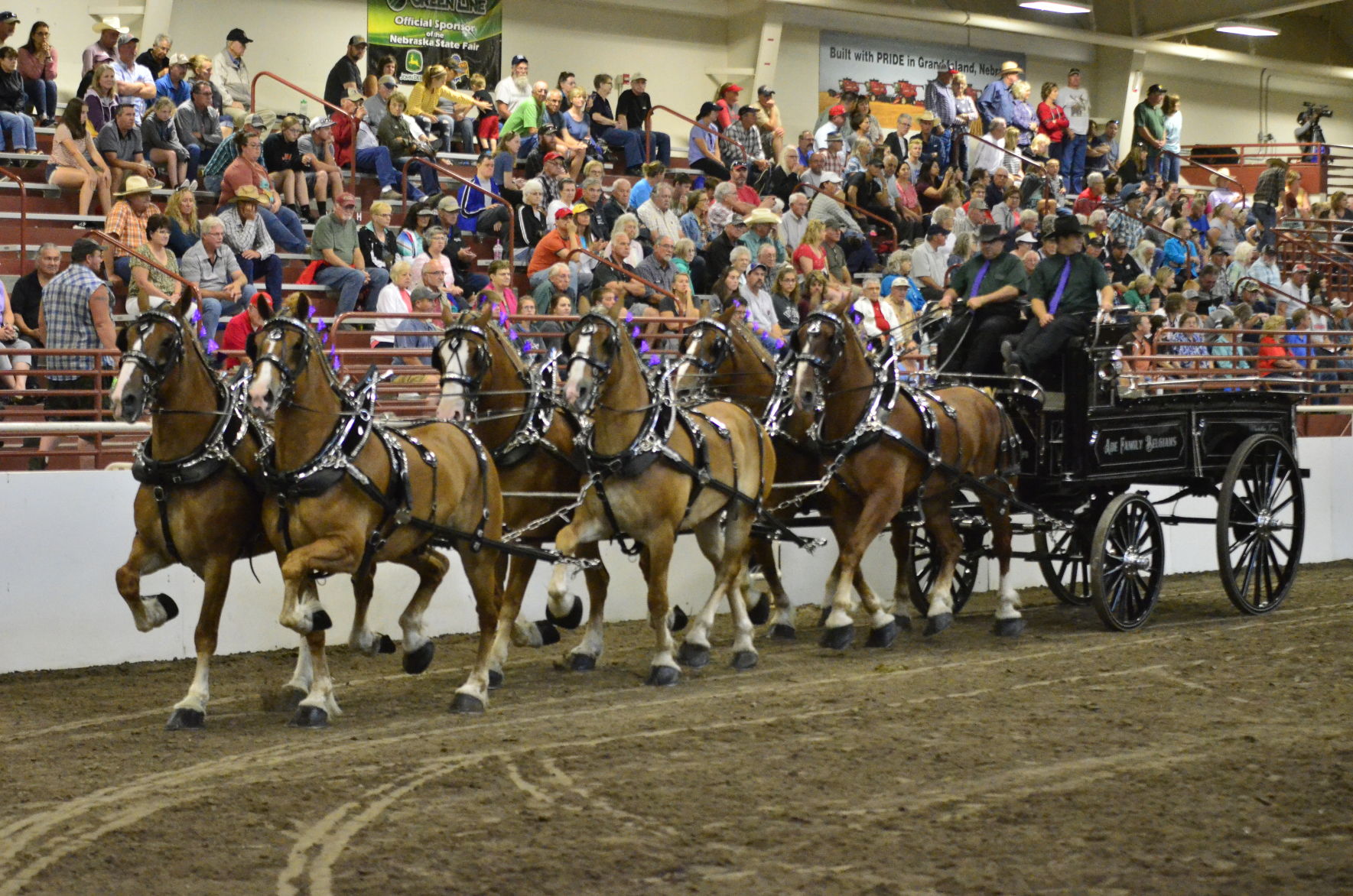 8-25-19 Draft Horse Hitch Final (125).JPG